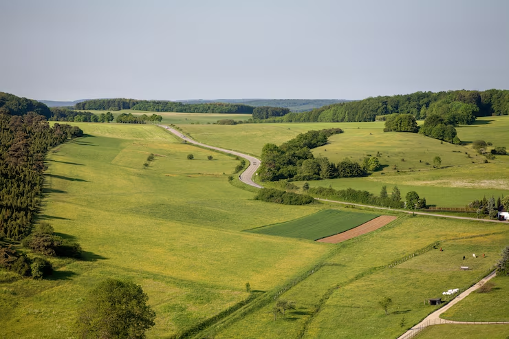 Leasehold / Shifting Land
